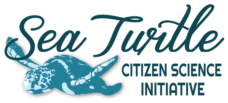 Sea Turtle Citizen Science Initiative